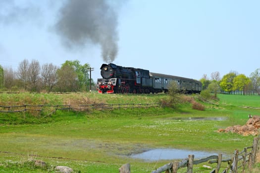 Steam retro train passing through meadow