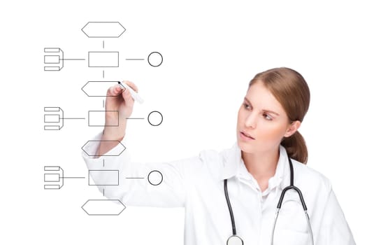 Female doctor with diagram