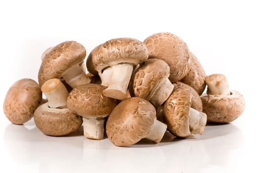 Mushrooms wd450