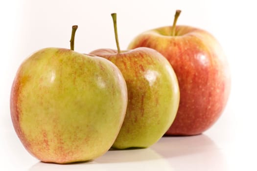 Three Apples wd458