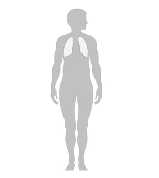 Man and lungs