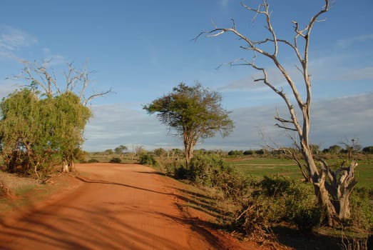 Tsavo East