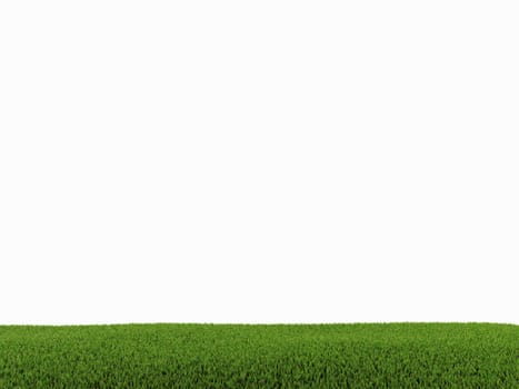 green grass on white background