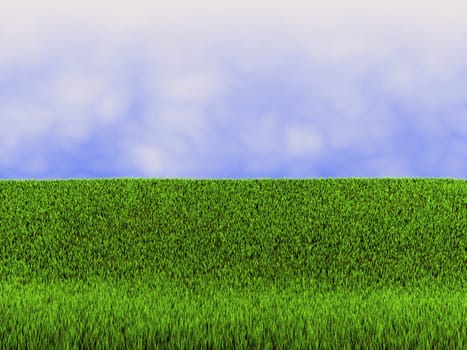green grass on sky background