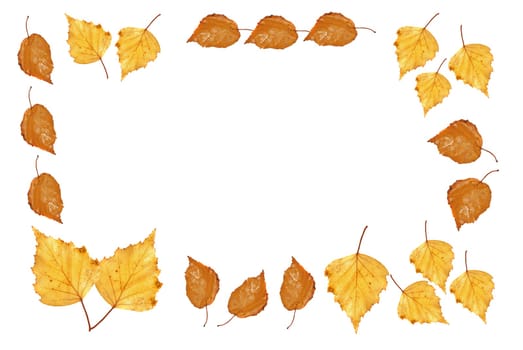(Fall foliage) or (fall leaves) or (autumn leaves)