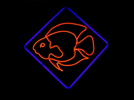Neon Fish Shaped Sign