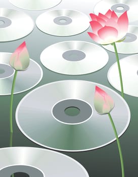 Disk
