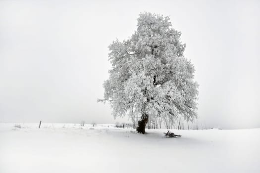 Winter magic.....