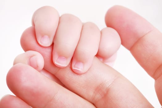 Newborn