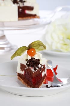Piece of cake