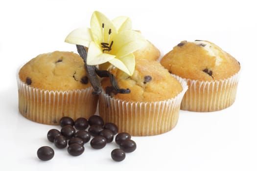 Chocolate Muffin