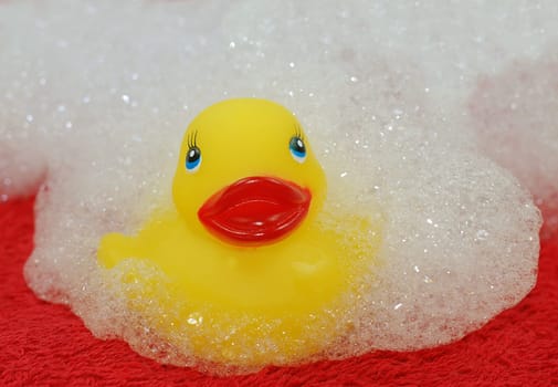 Rubber duck