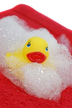 Rubber duck