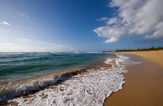 Hawaiian Beach