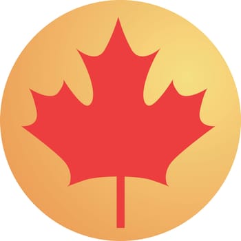 Maple