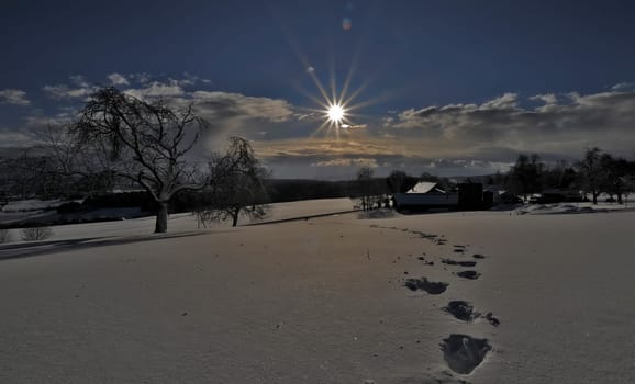 Winter
