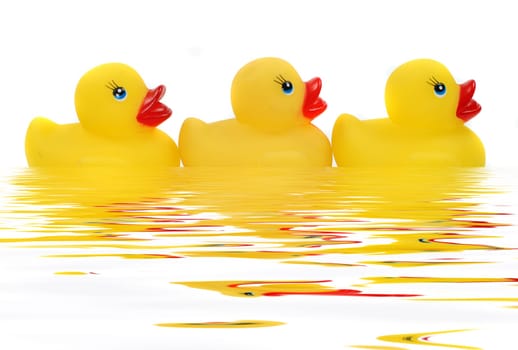 Three rubber ducks