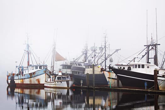 fishing boats in harbor fog