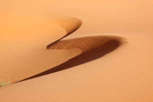 abstract shape in desert sand