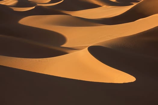 sand dunes in evening light