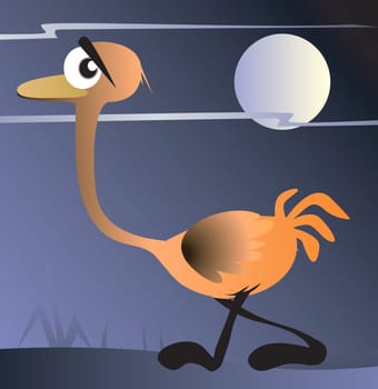 ostrich