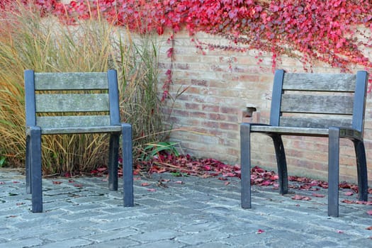 Red creeper leaves climbs up on the wall with a bench in France.
