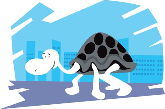 tortoise