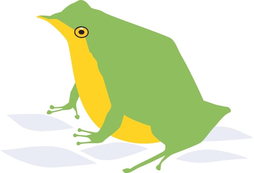 Toad