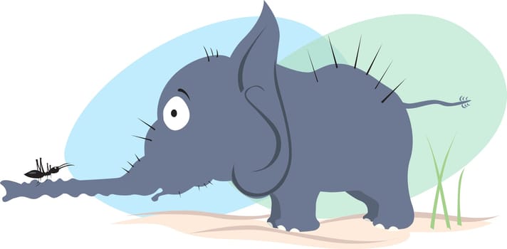 Elephant