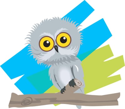 owl,