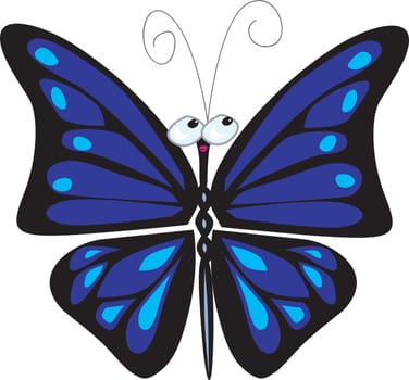 butterfly