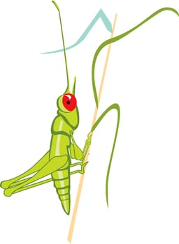 grasshopper