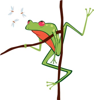 Toad