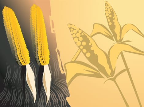 Maize
