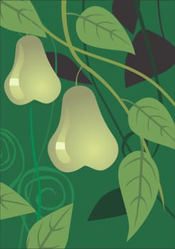 Pear