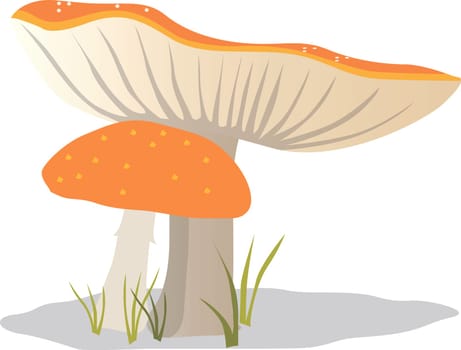 Mushroom