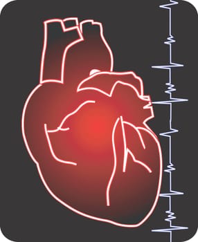 Heart