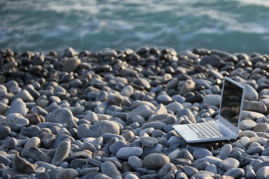 Laptop by the sea