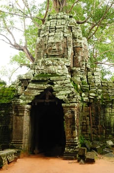 Ta Prohm temple, Cambodia