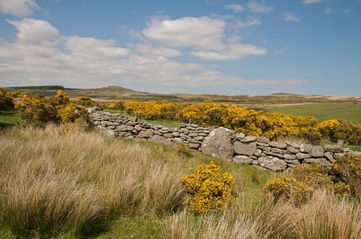 Dartmoor