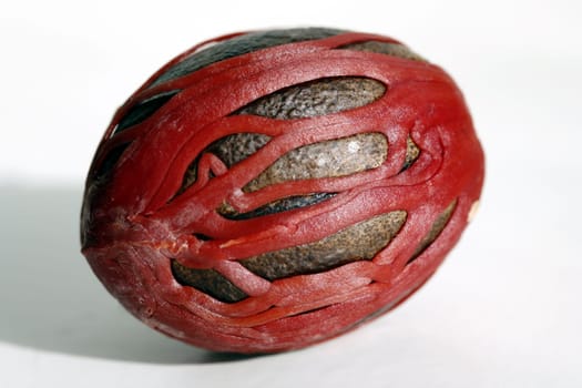 fresh nutmeg