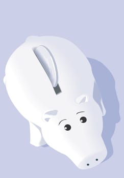 pig