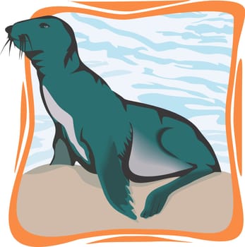 sea lion