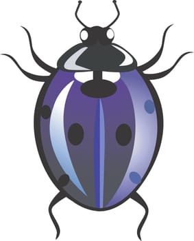 Beetle