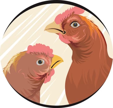 Chicken