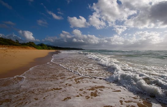 Hawaiian Beach