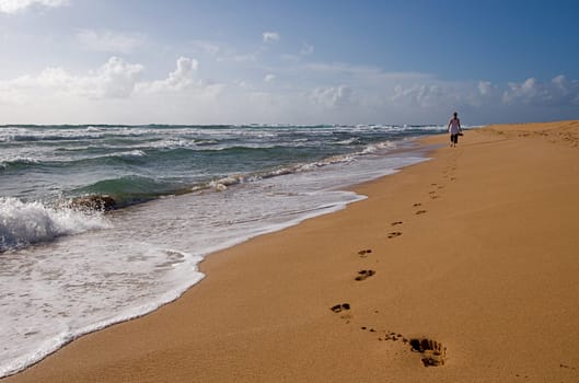Hawaiian Beach