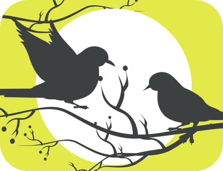 bird