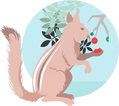 Squirrel