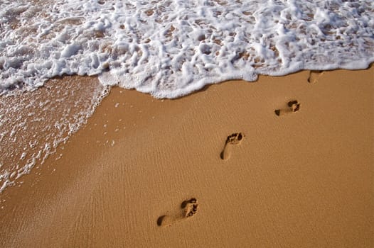 Hawaiian Beach
